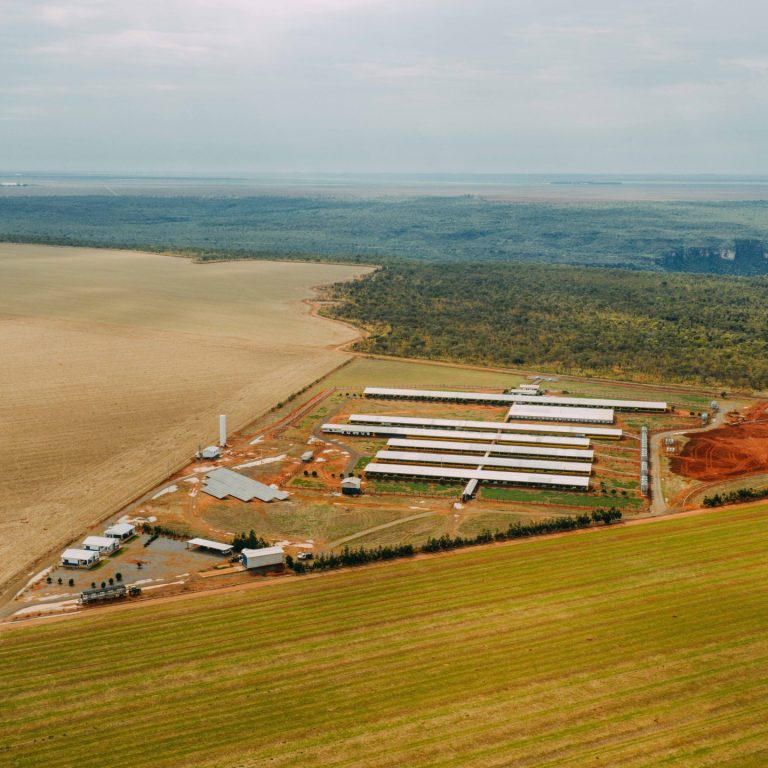 DJI_20251105084536_0095_D_SNDRSON